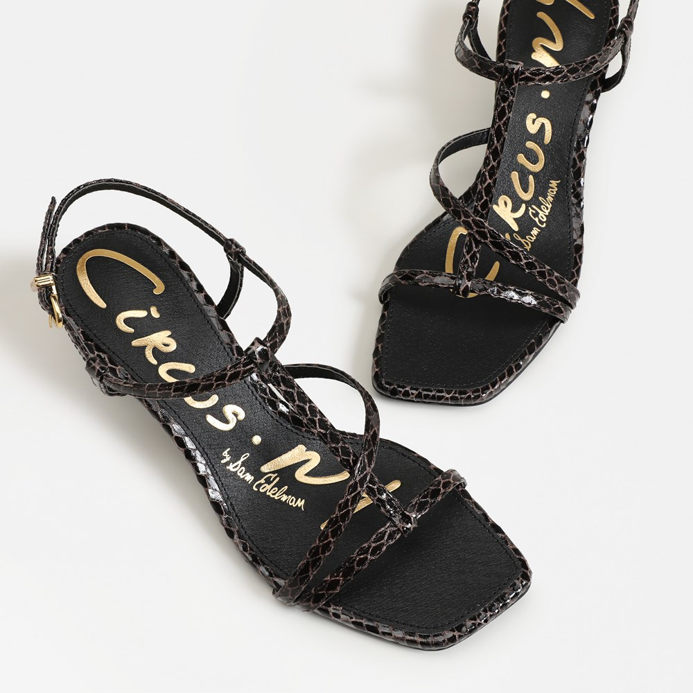 Jaida Kitten Heel Sandal - Dark Brown Snakeskin