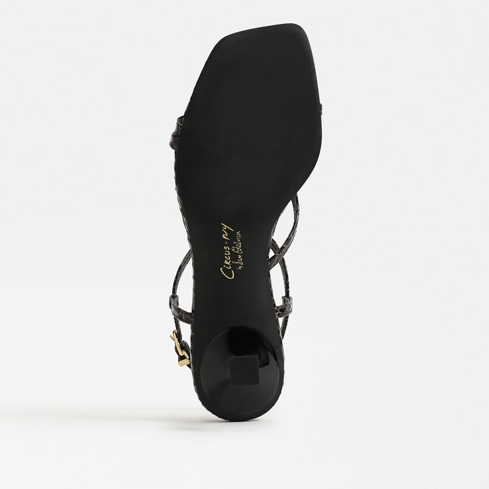 Jaida Kitten Heel Sandal - Dark Brown Snakeskin