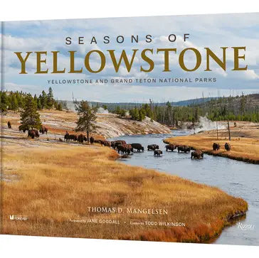Seasons of Yellowstone