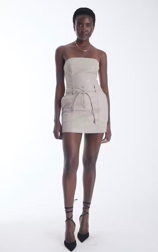 Brair Vegan Leather Skirt