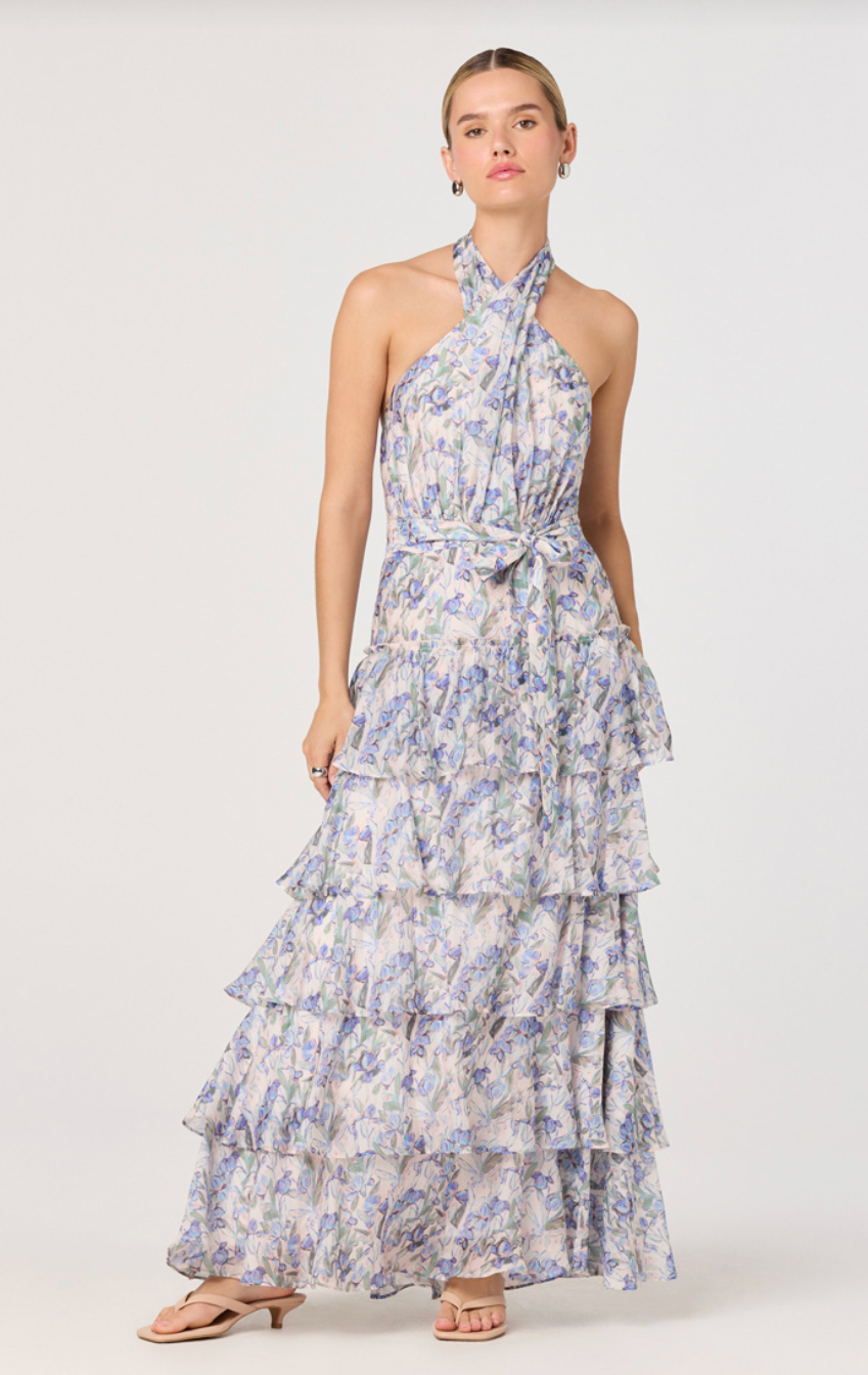 Adamaris Dress-Blue Floral