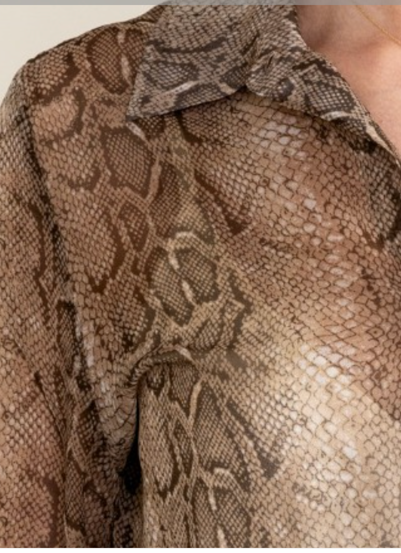 Classic Sheer Snake Print Blouse
