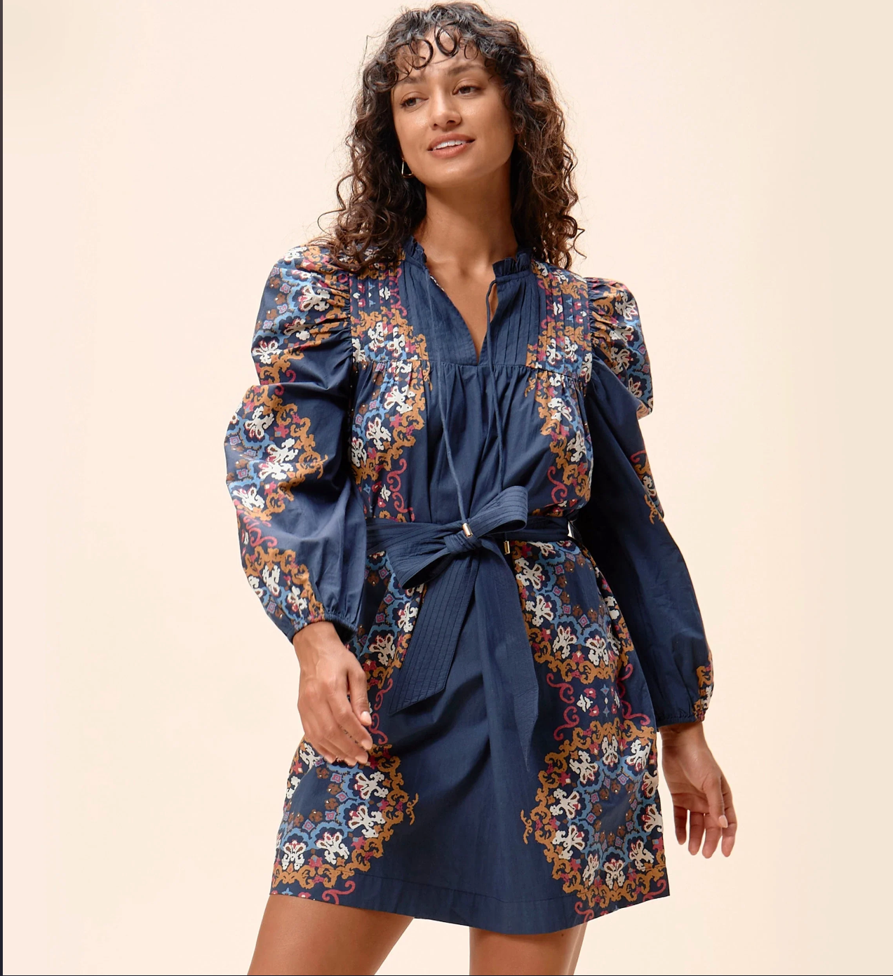 Ivana Mini Dress