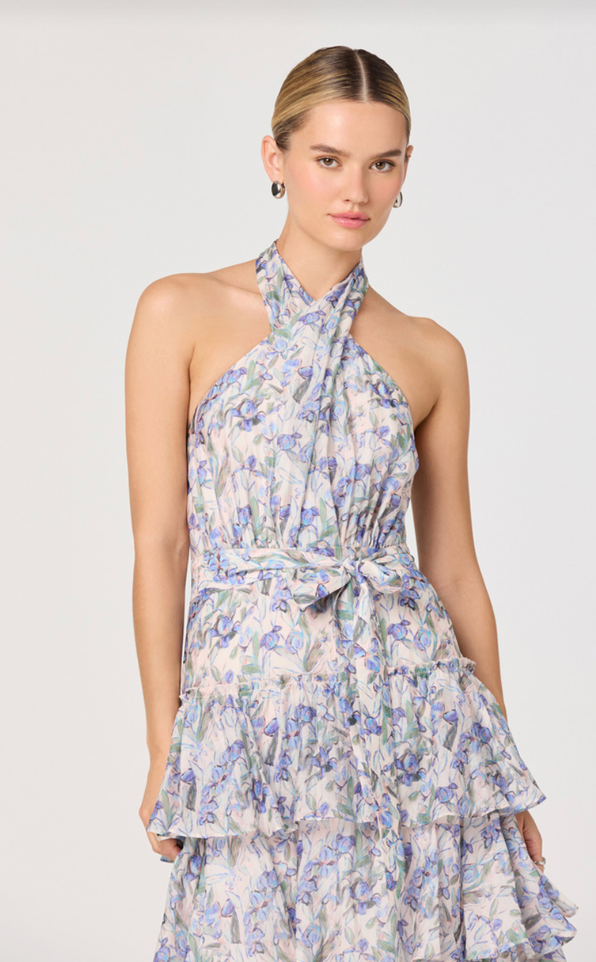 Adamaris Dress-Blue Floral
