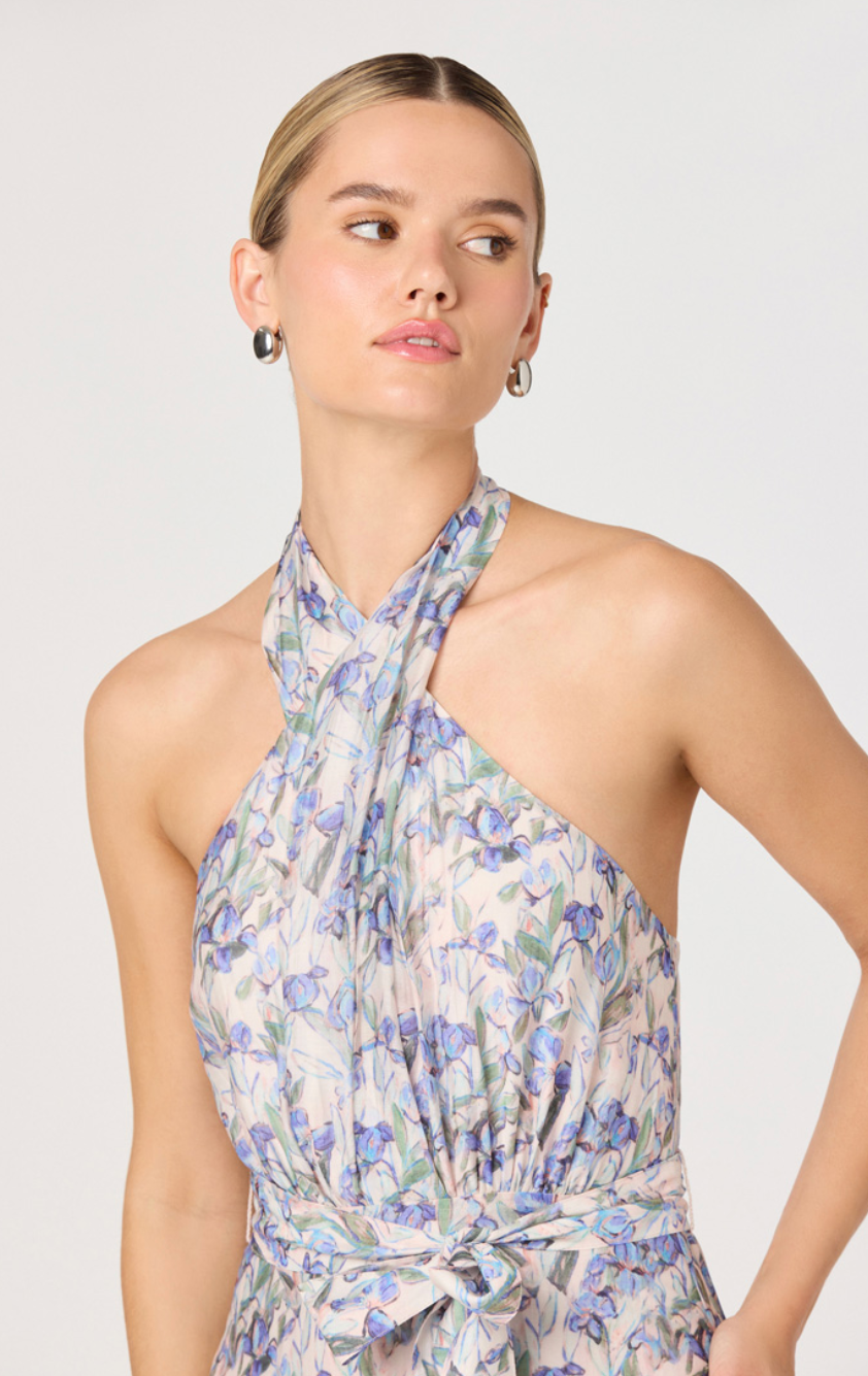 Adamaris Dress-Blue Floral