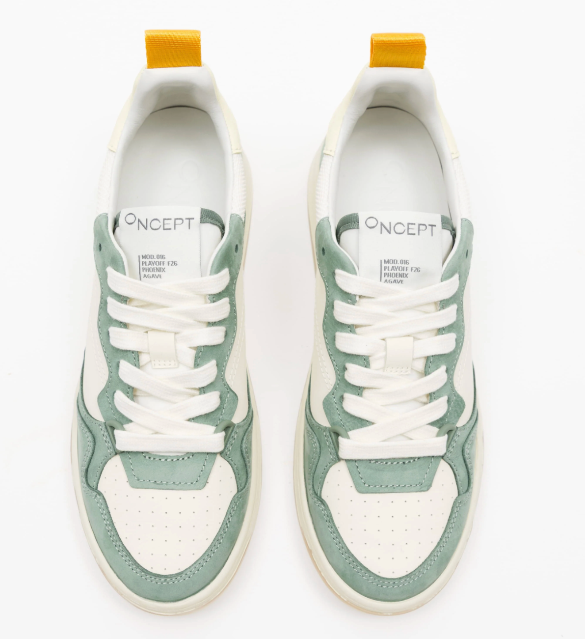 Oncept-Phoenix in Agave