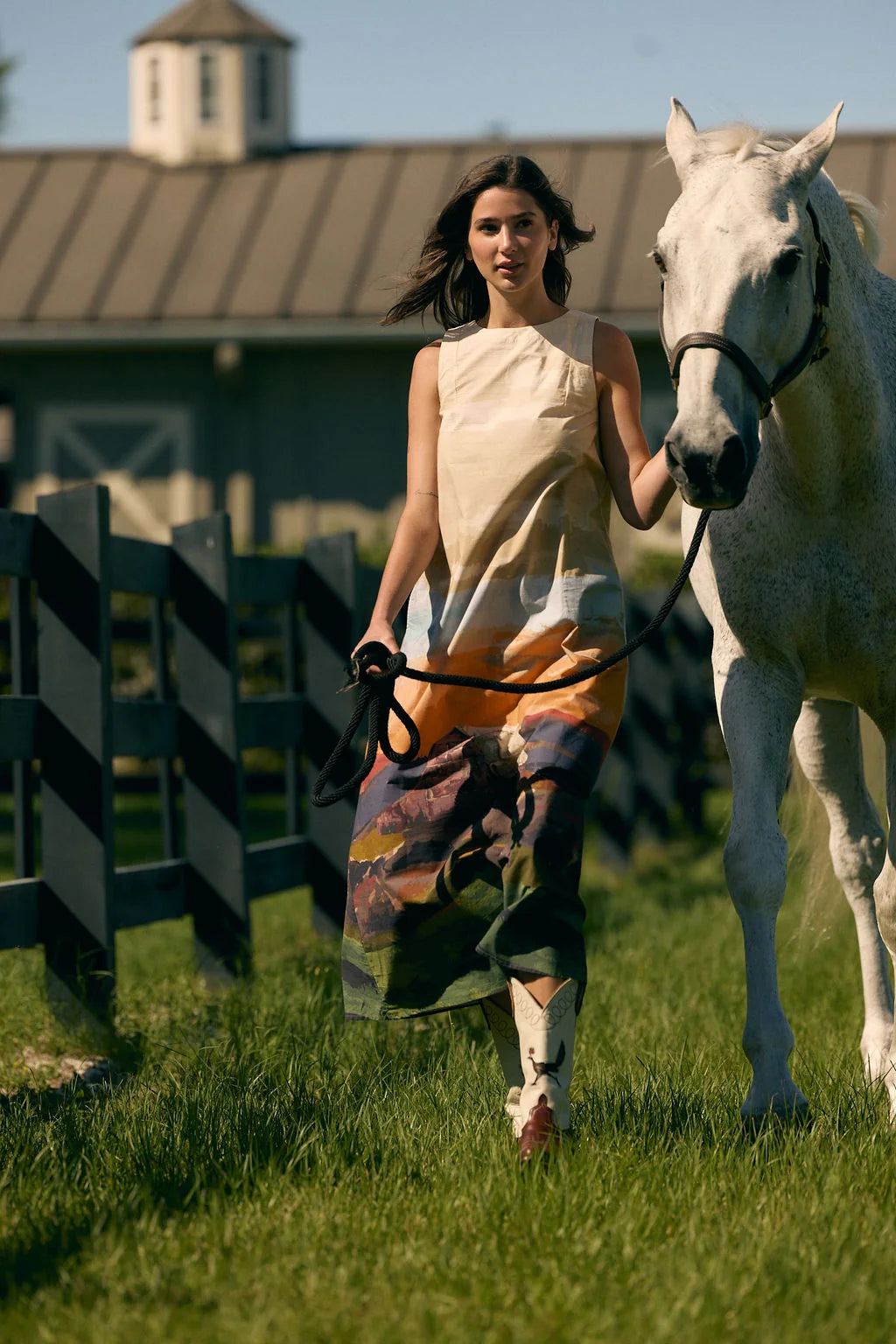 Dani Dress-Field Study
