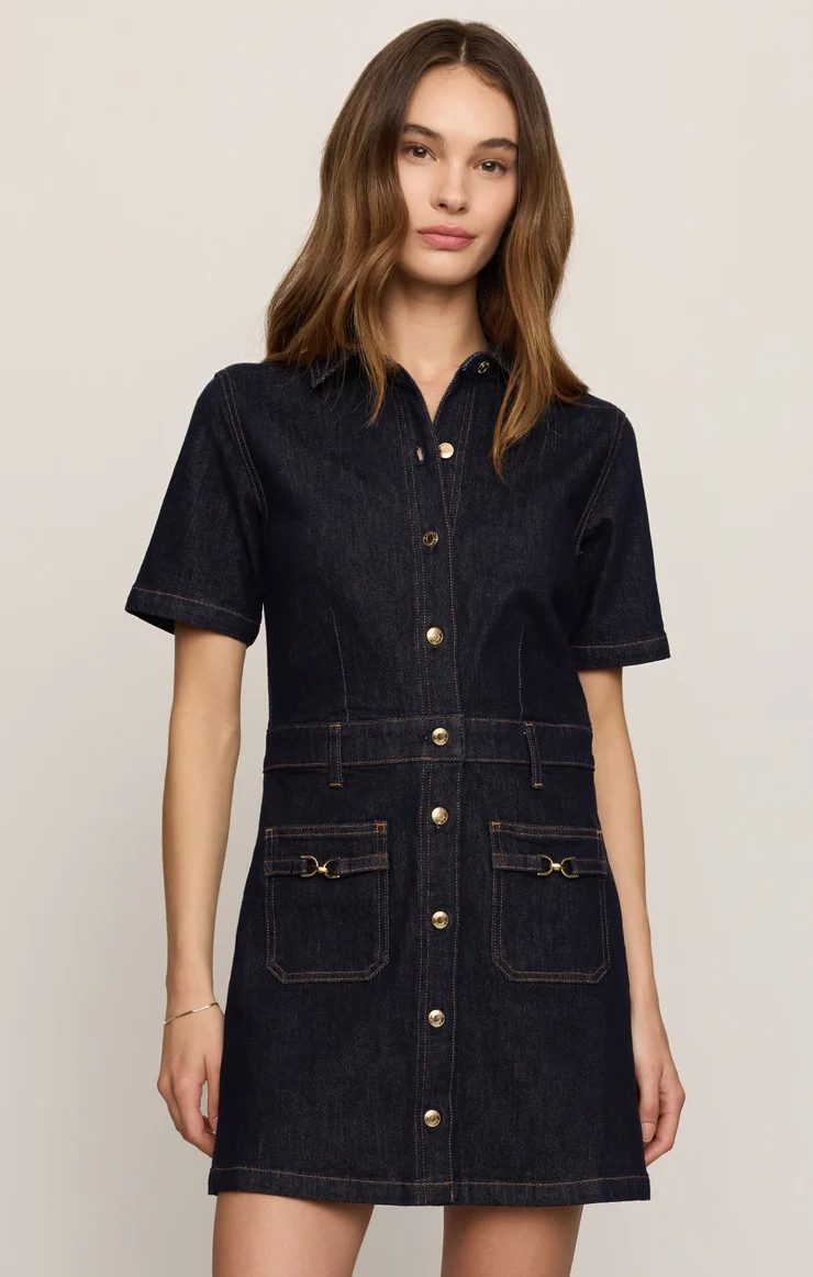 The Crush Denim Dress