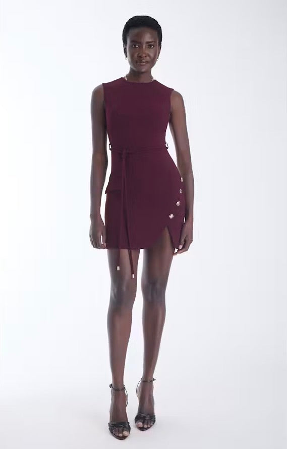 Zarta Mini Dress - Cabernet