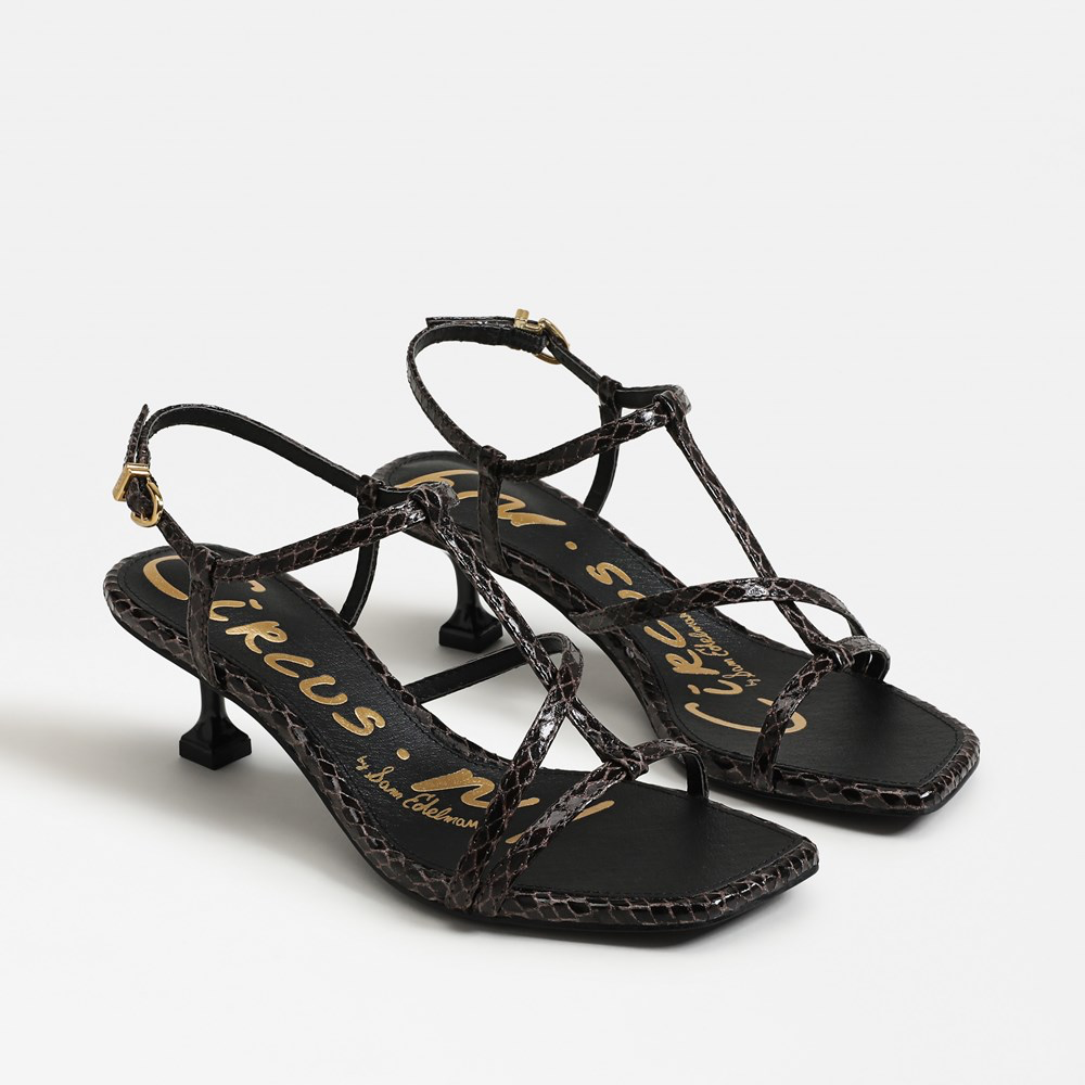 Jaida Kitten Heel Sandal - Dark Brown Snakeskin