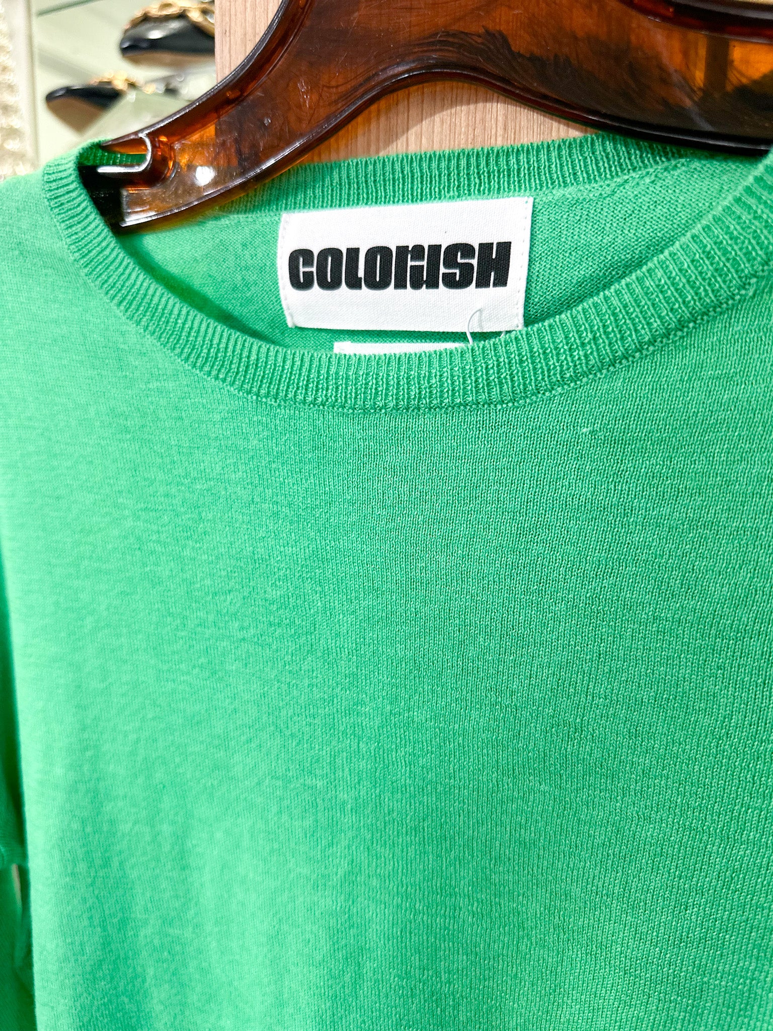 Colorush Clio Fitted Crew-Bay