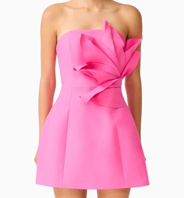 Laurentia Mini Dress-Fuchsia Pink