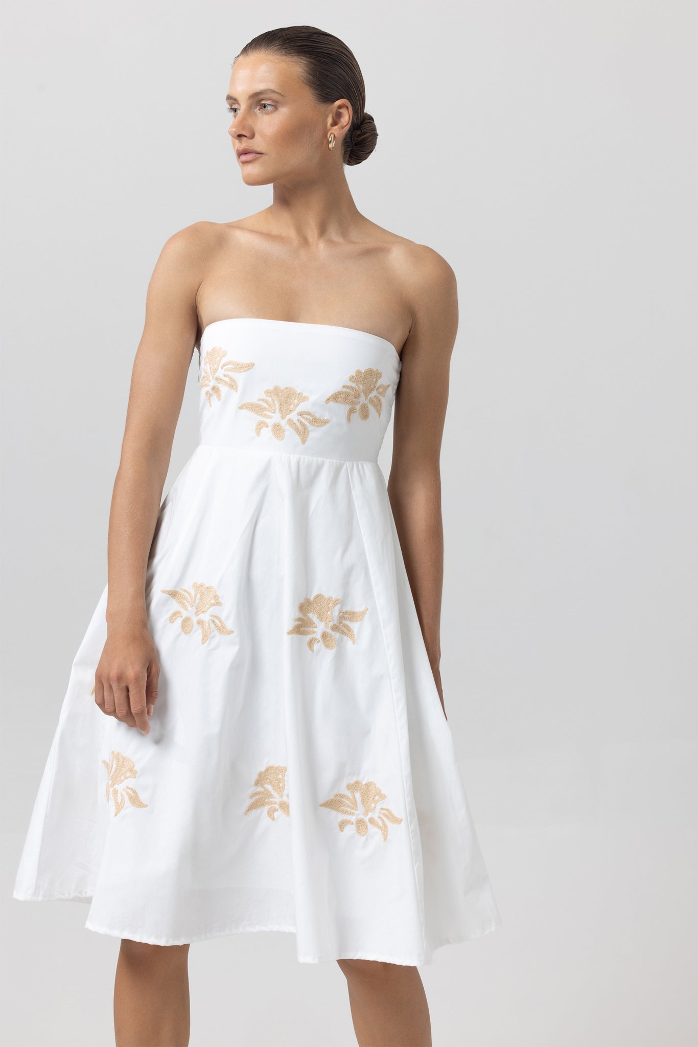 Zayn Embroidered Poplin Dress