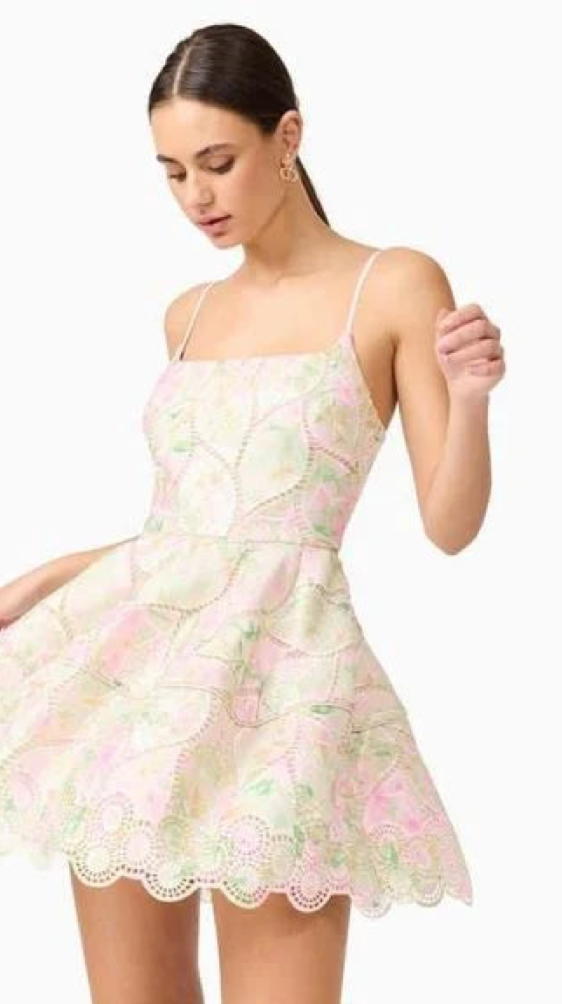 Indria Mini Dress