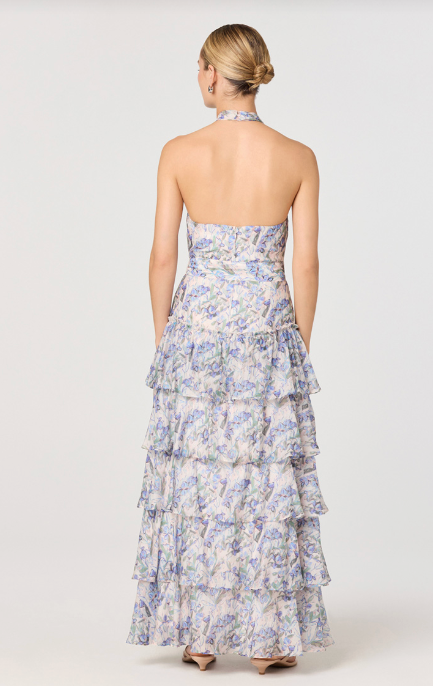 Adamaris Dress-Blue Floral