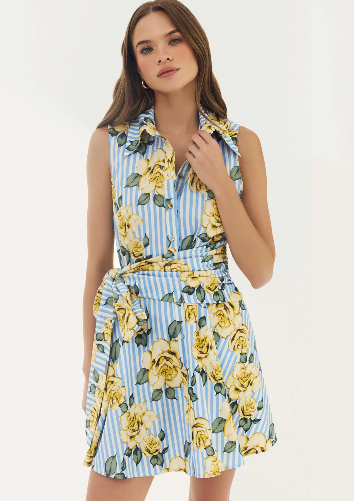 Biltmore Dress-Blue/Yellow Multi Striped Rose