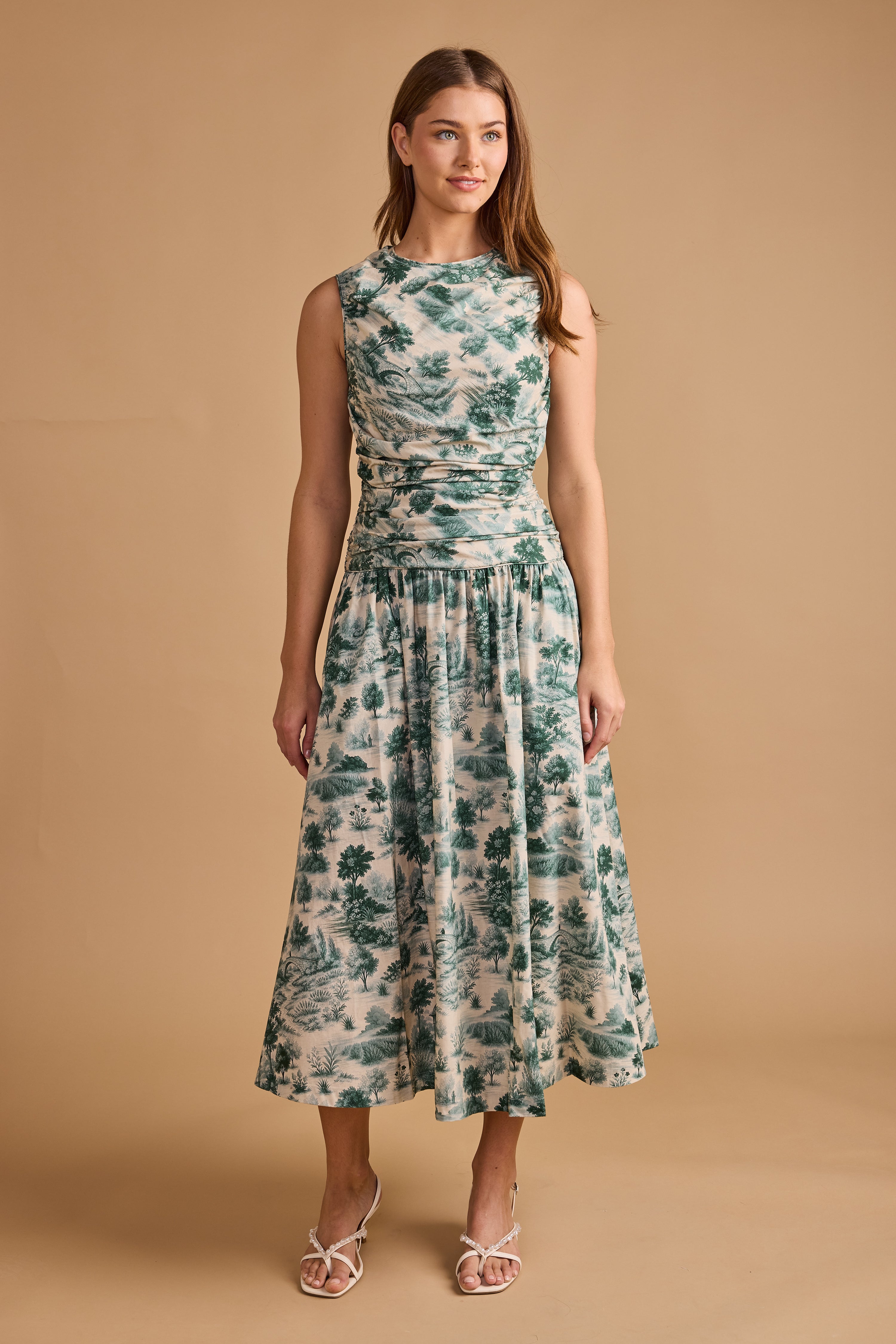 Agatha Dress-French Toile