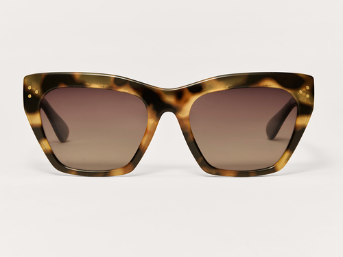 Park Avenue-Brown Tortoise