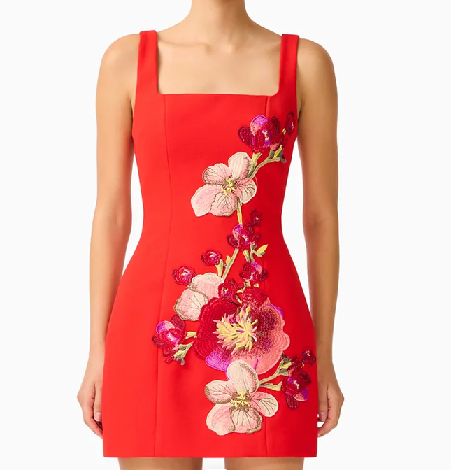 Fleurisca Party Mini Dress-Scarlet Red