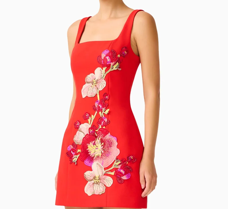 Fleurisca Party Mini Dress-Scarlet Red