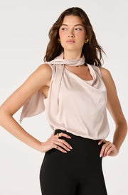 Sasha Cowl Neck Scarf Top-Champagne