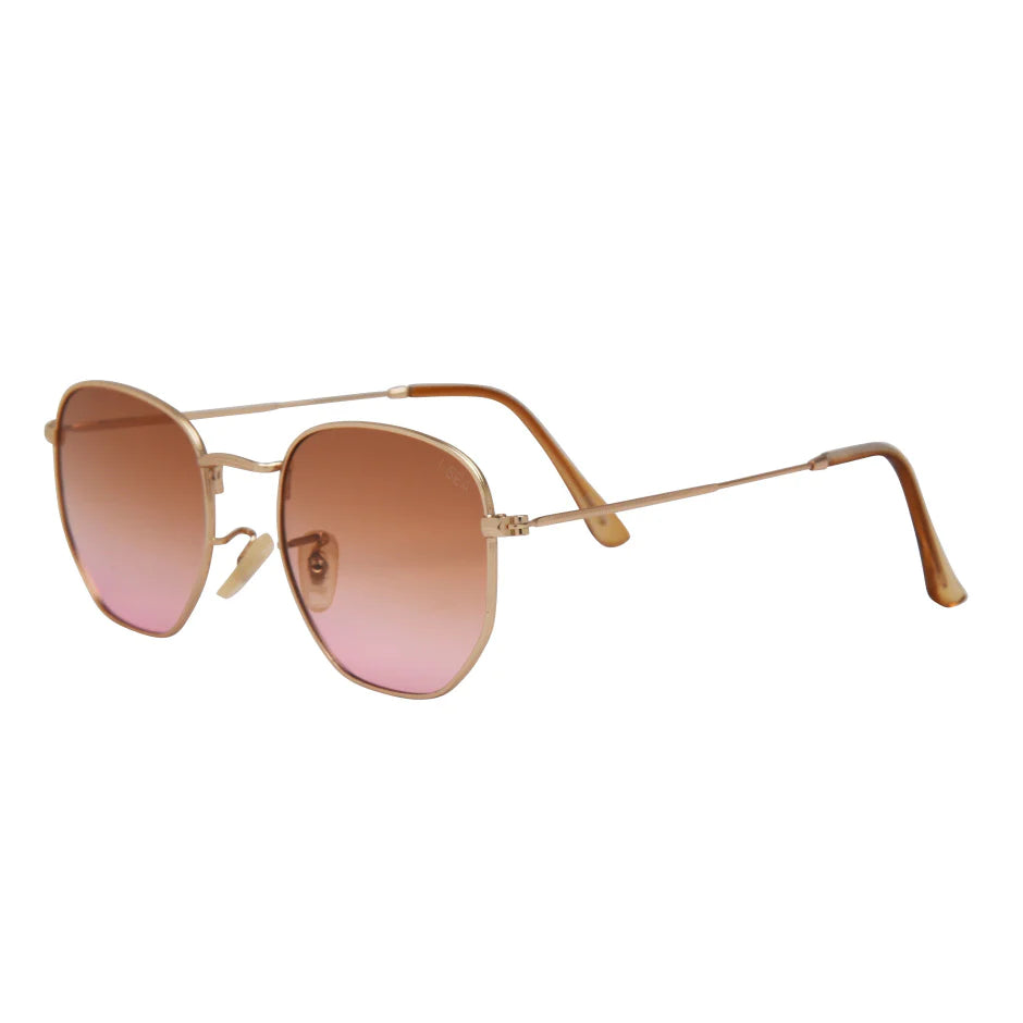 Penn Sunglasses